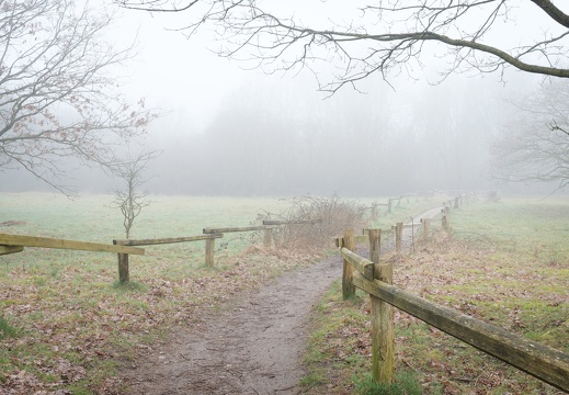 Spaziergang im Nebel