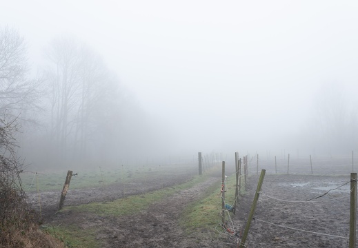 Spaziergang im Nebel